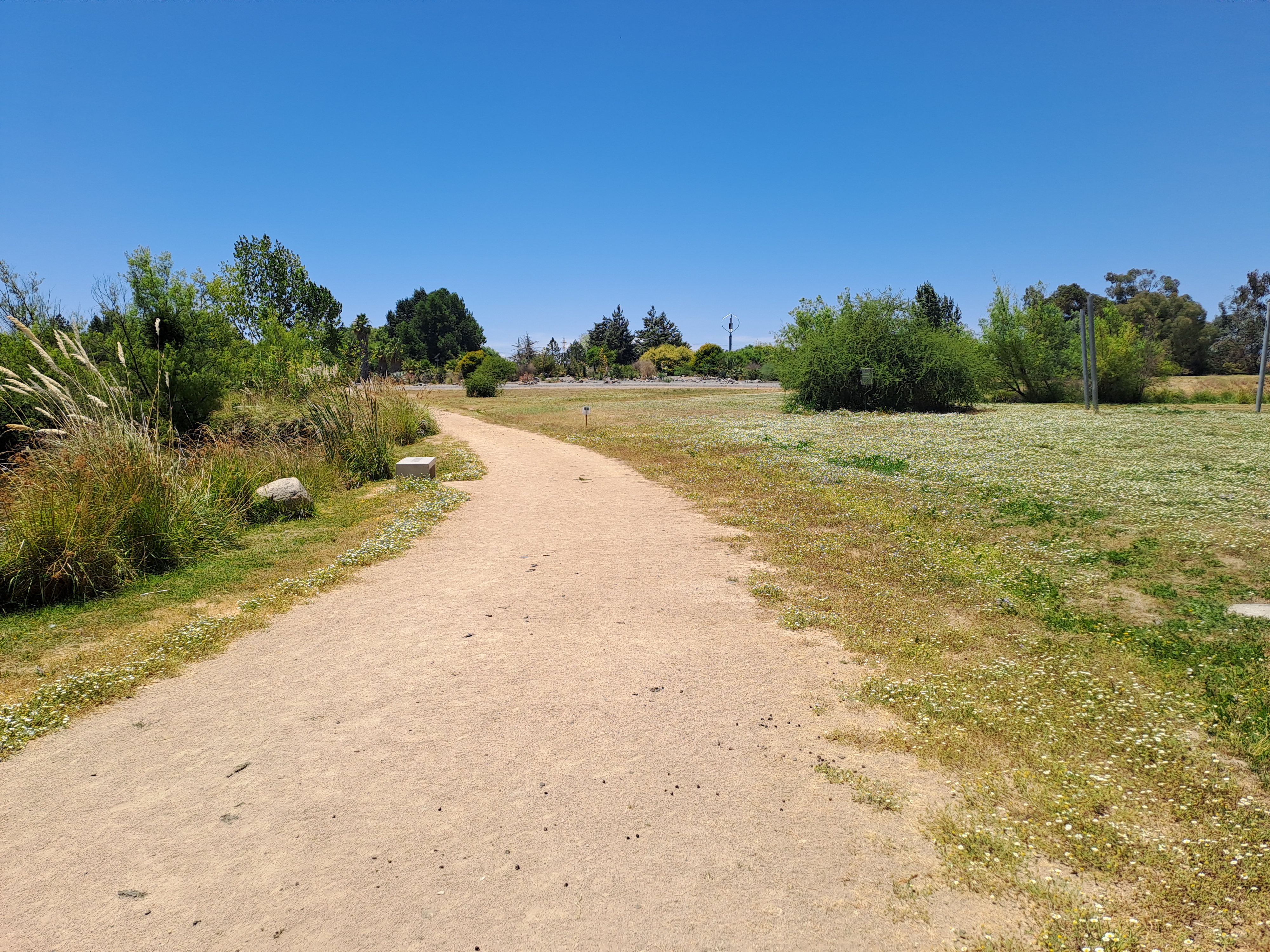 Fotografía del sendero, cercano a sectores que presentan pasto verde